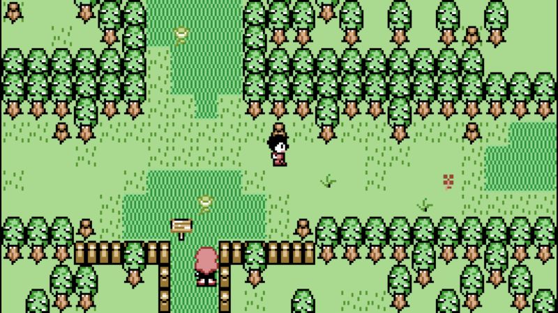 Datei:Paracreat S05.jpg